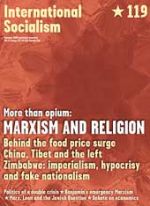 International Socialism 119